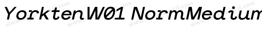 YorktenW01 NormMediumItalic Regular字体转换